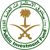 Saudi Arabian Public Investment Fund (PIF)